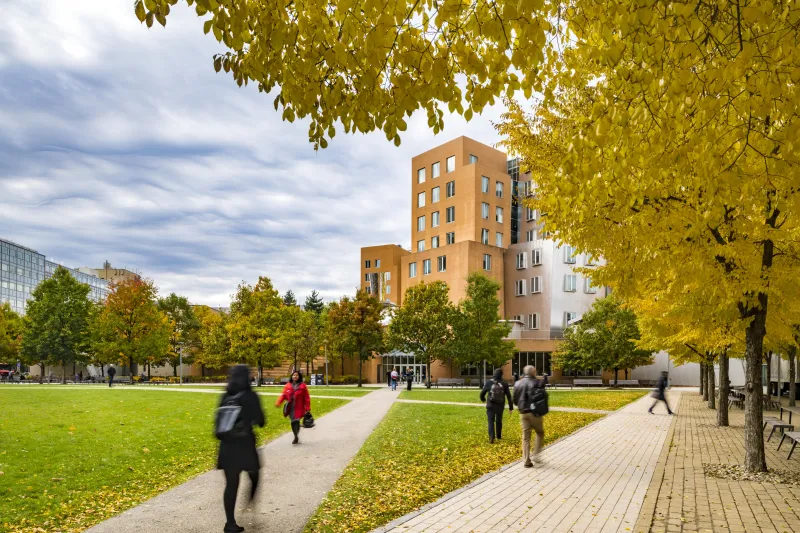 Stata Center and courtyard