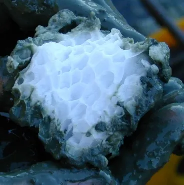 20120412-iceclogs-2.jpg
