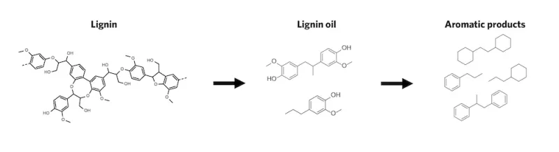 C_230418_Figure1.jpg