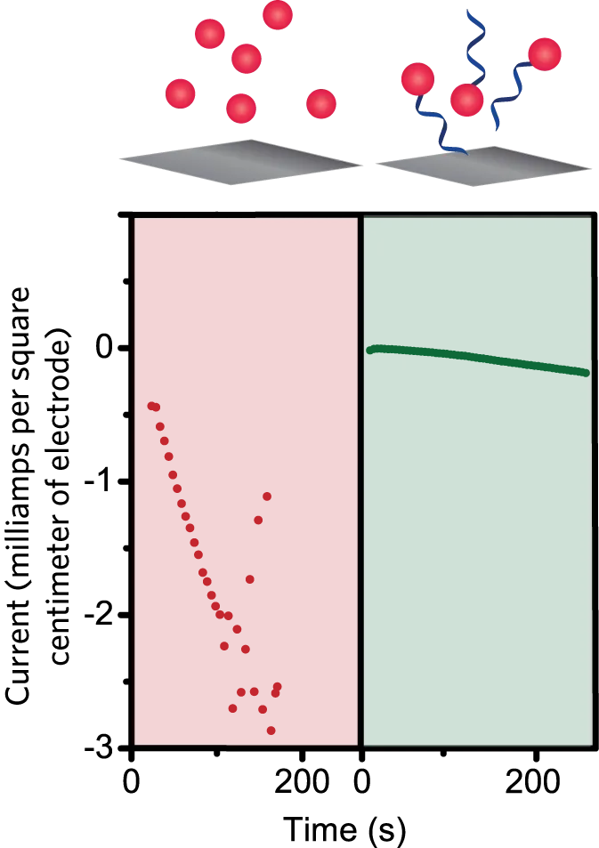 E-Fig2.png