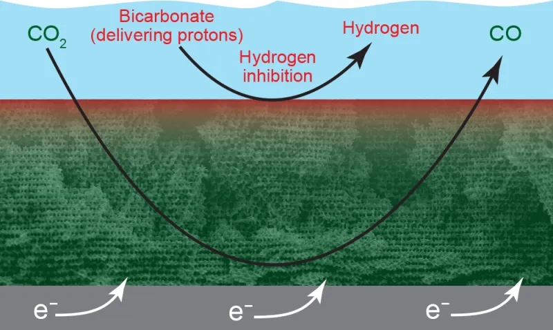 Figure_1A-1.png