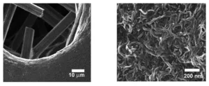 Hatton_SEM_Figure-page_11a-300x124.gif