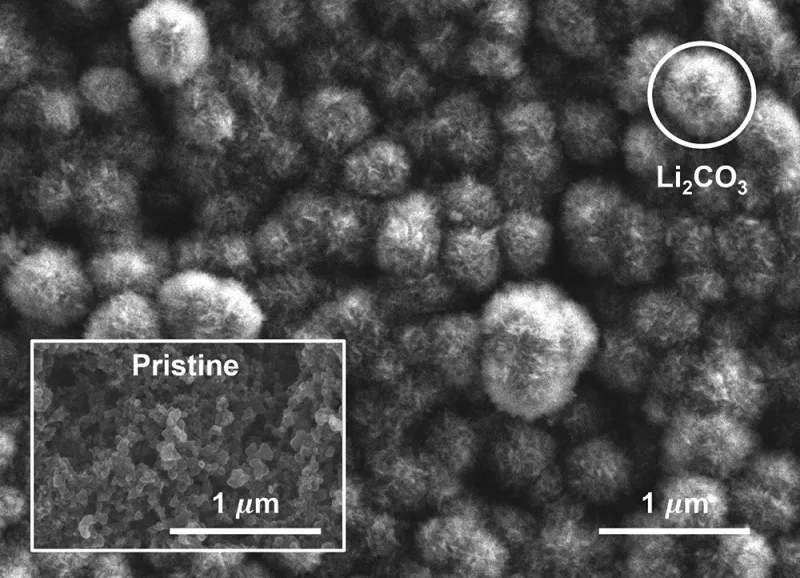 SEM-image-of-carbon-cathode-after-discharge.jpg