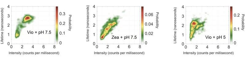 fluorescence-behavior.png