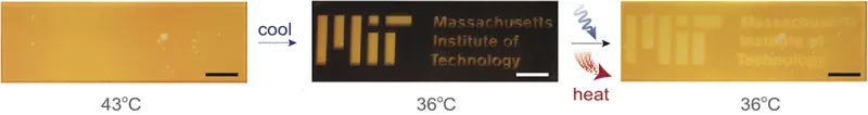 pcm-composite-charging-and-discharging-films.png