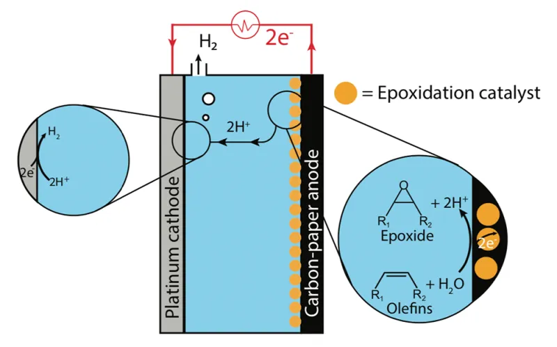 schematic-diagram-of-electrochemical-cell-and-reaction-process.png