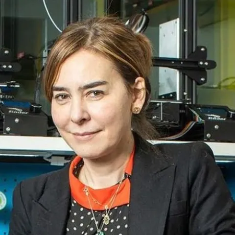 Headshot of Dina Katabi