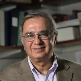 Headshot of Lallit Anand