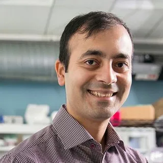 Headshot of Rohit Karnik